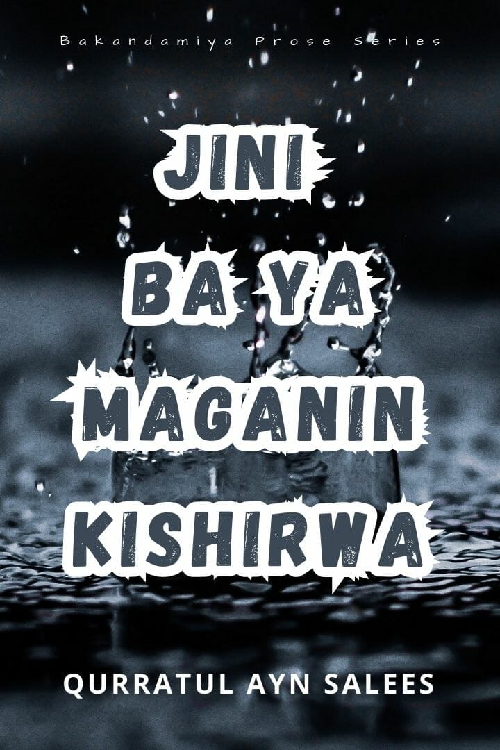 Jini Ba Ya Maganin Kishirwa by Qurratul Ayn Salees
