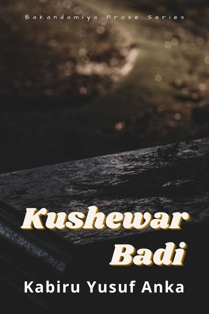 Kushewar Badi by Kabiru Yusuf Anka