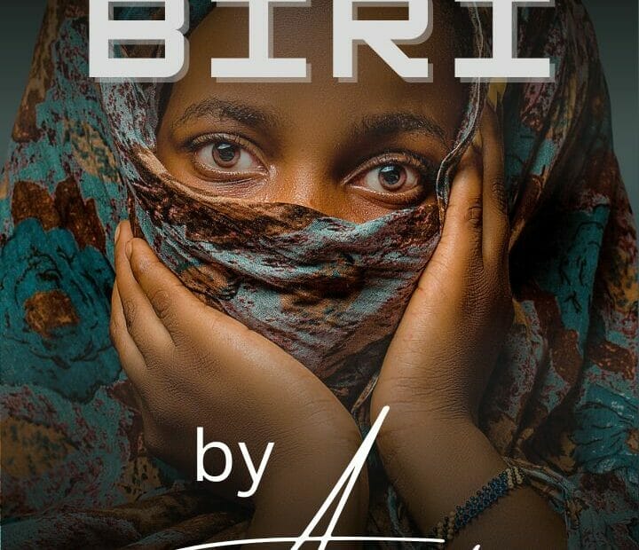 Lullubin Biri by Halima Zakariyya