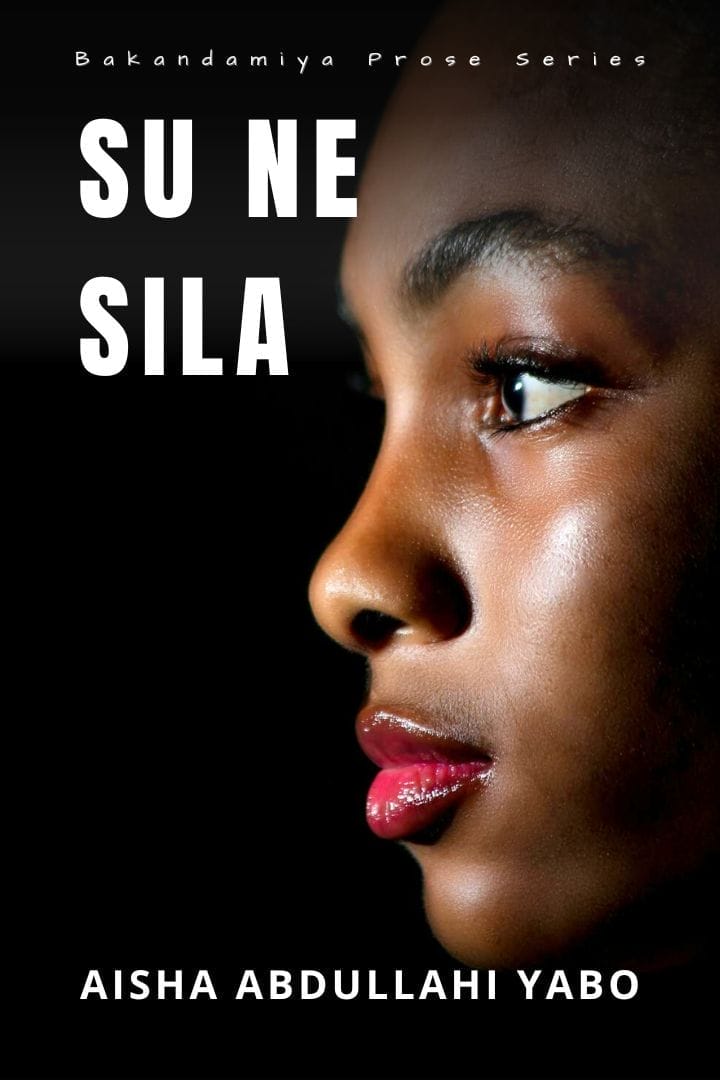 Su Ne Sila by Aisha Abdullahi Yabo