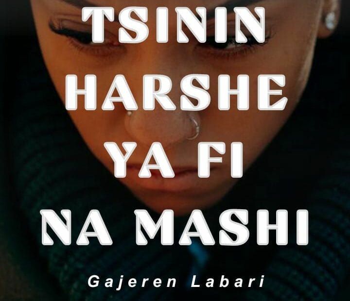 Tsinin Harshe Ya Fi Na Mashi by Sadik Abubakar