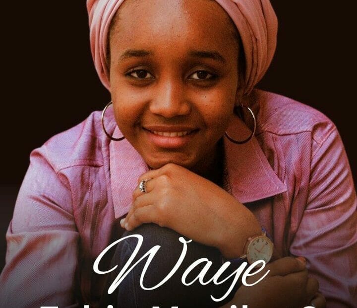Waye Zabin Munibat by Husaina B. Abubakar