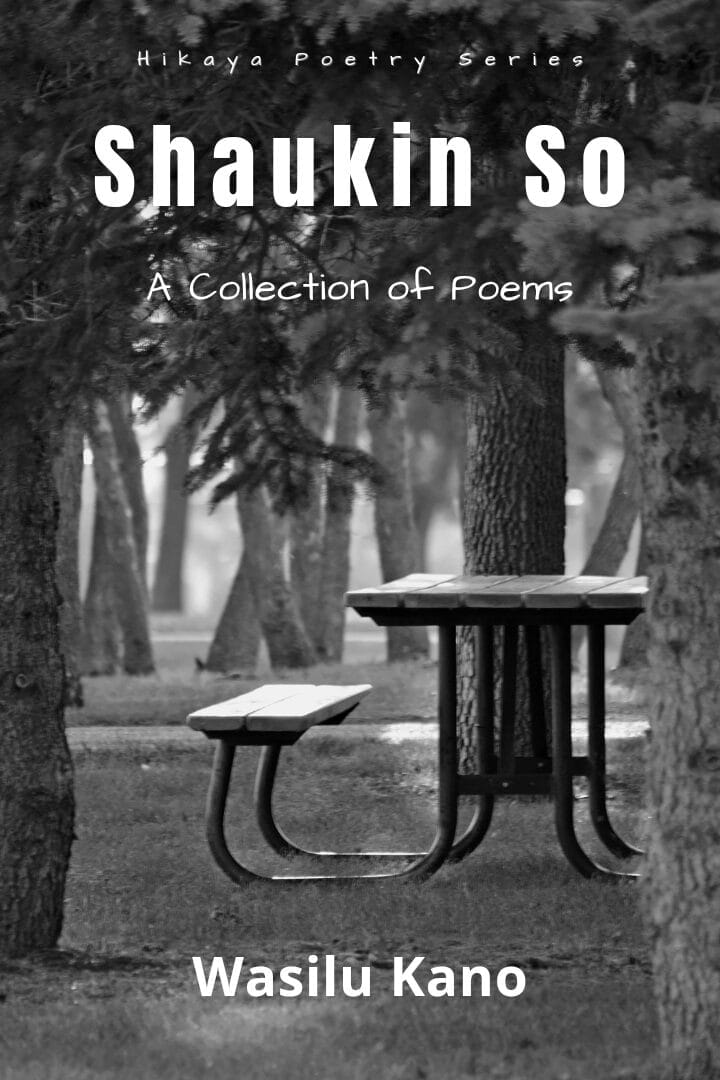 Shaukin so by Wasilu Kano