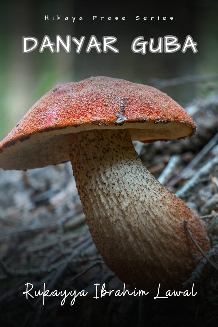 Danyar guba na Rukayya Ibrahim Lawal