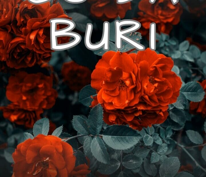 So da buri na Humaira Bulama