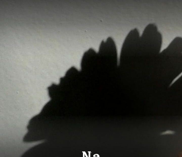 Bakin Fenti na Rashida Usman