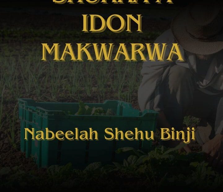shukka a idon makwarwa na Nabeelah Shehu Binji