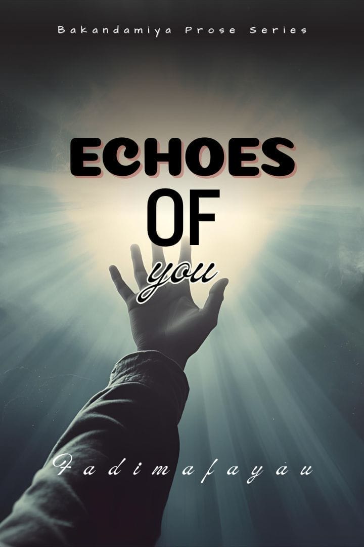 Echoes of You by Fadimafayau